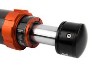 Load image into Gallery viewer, Photo - Close Up