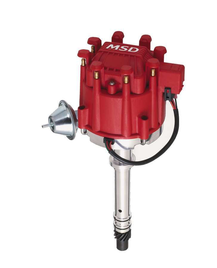 MSD8365.jpg