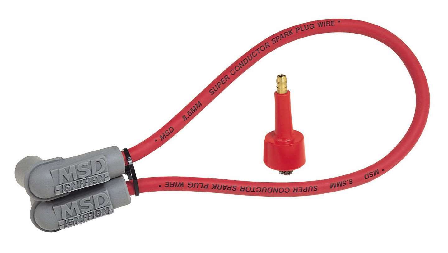 MSD84039.jpg