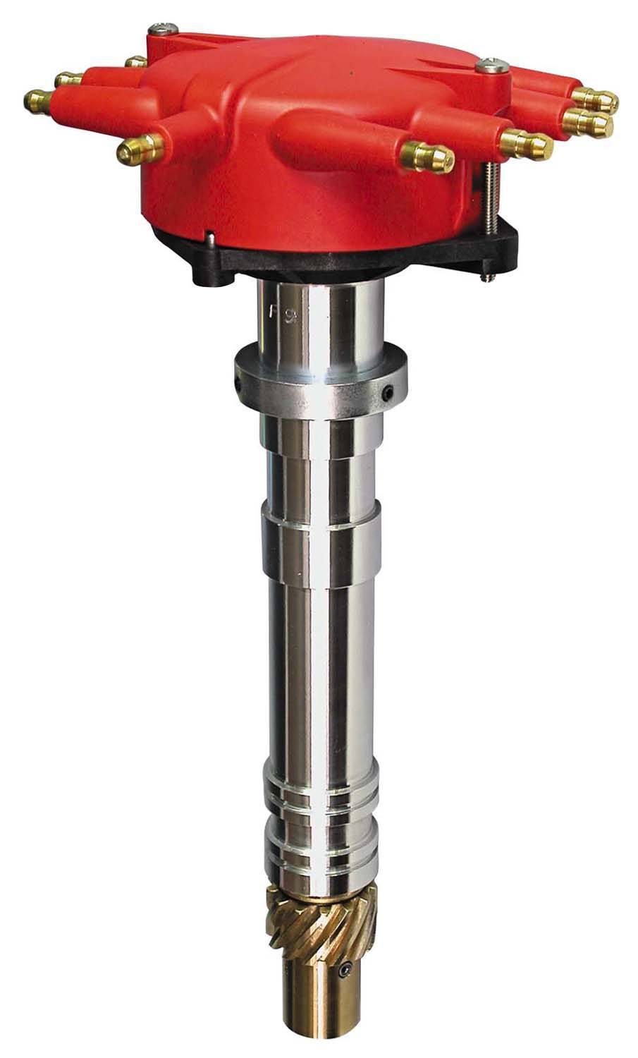 MSD8486.jpg
