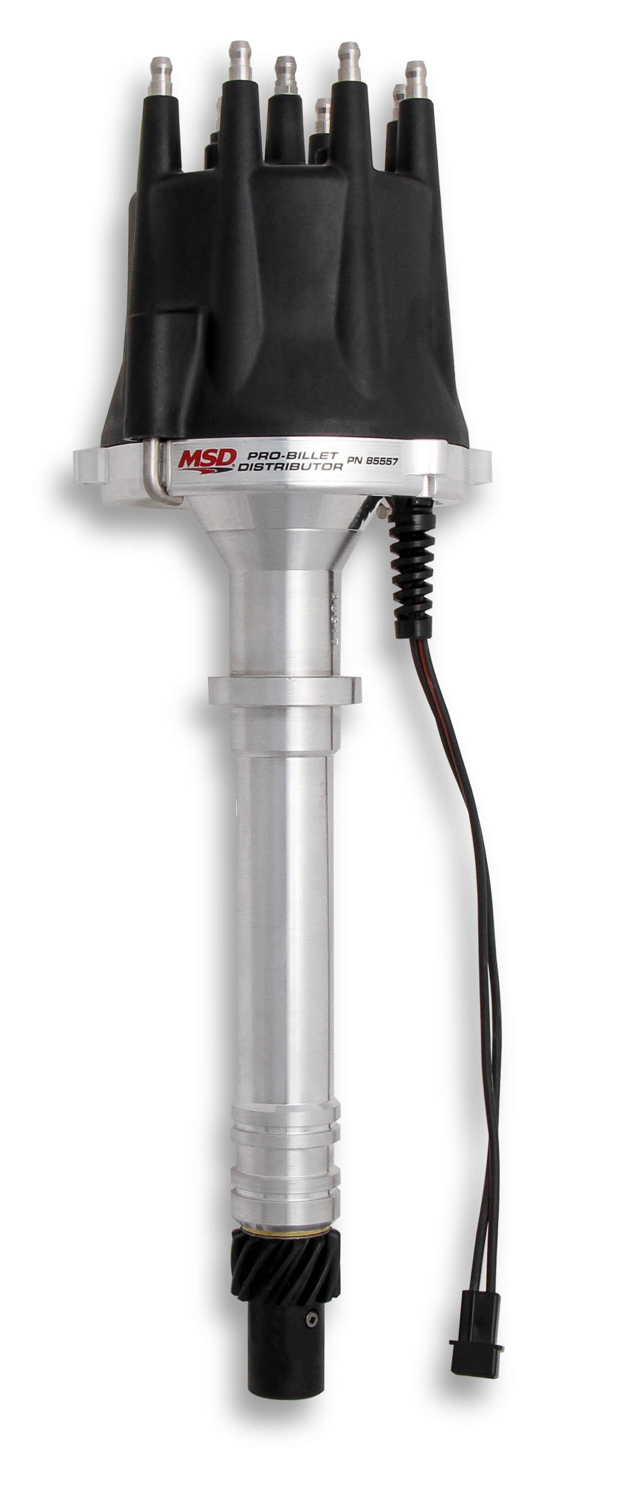 MSD85557.jpg